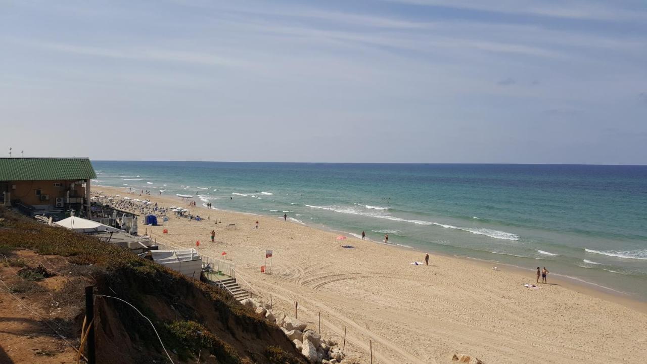 Beutifull View Of Batyam Leilighet Bat Yam Eksteriør bilde