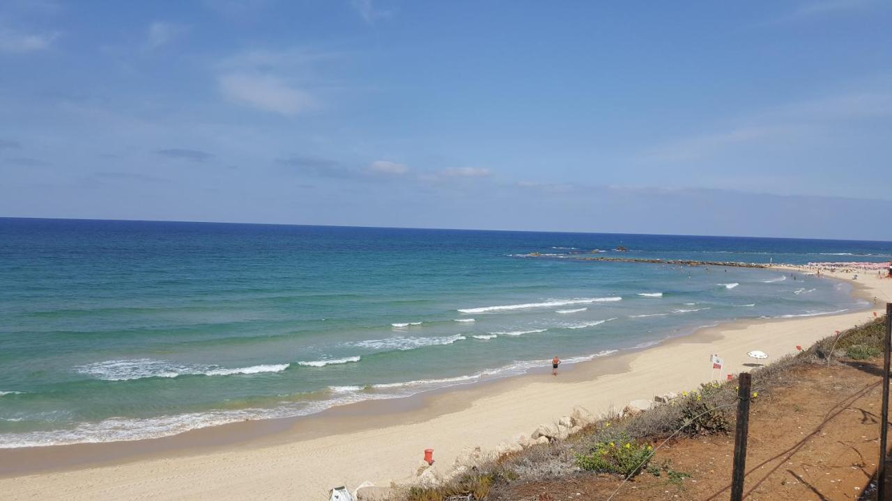 Beutifull View Of Batyam Leilighet Bat Yam Eksteriør bilde